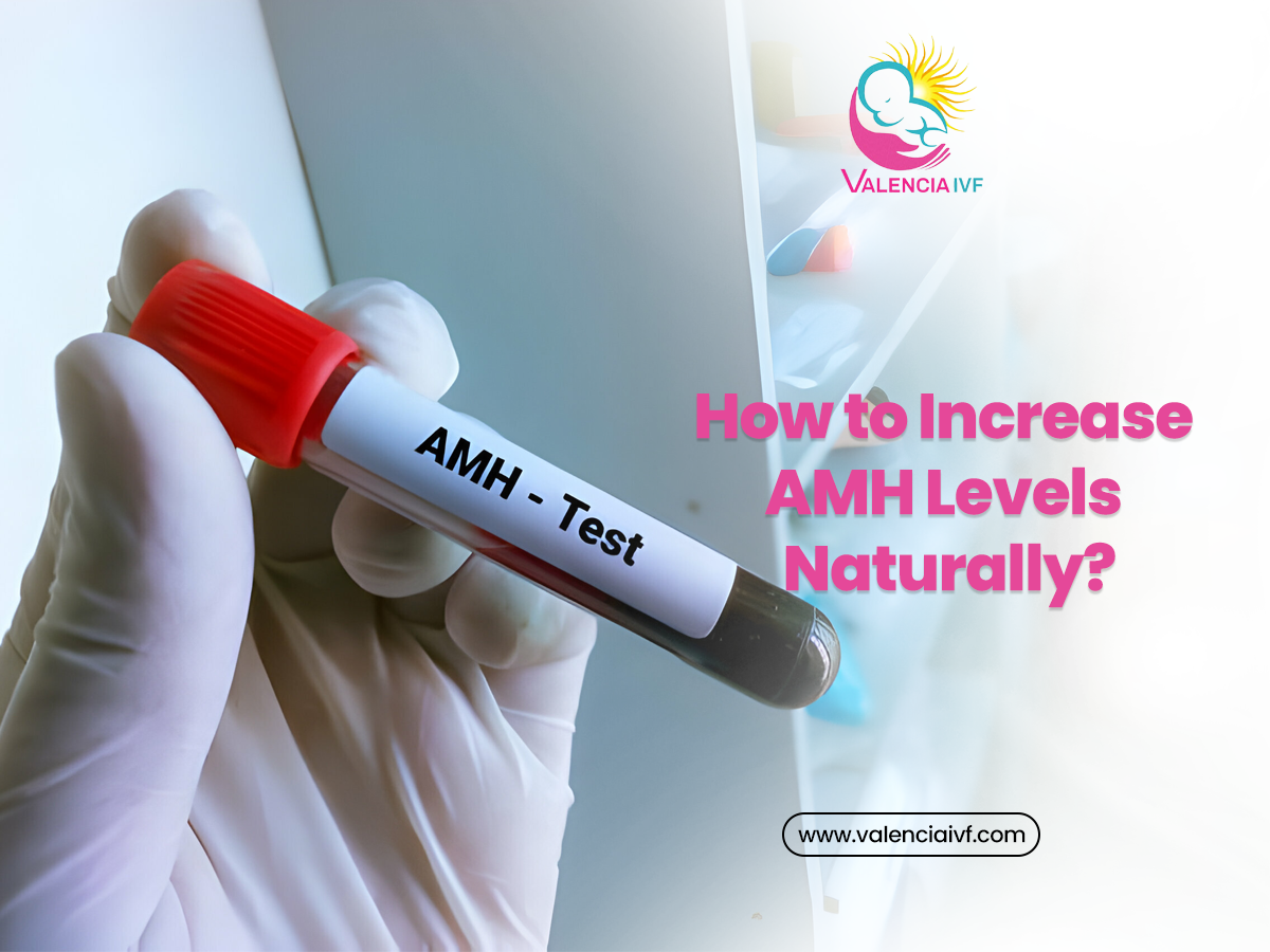 How to Increase AMH Levels Naturally?